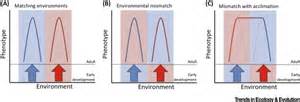 Evolution of Plasticity: Mechanistic Link between Development and Reversible Acclimation: Trends ...