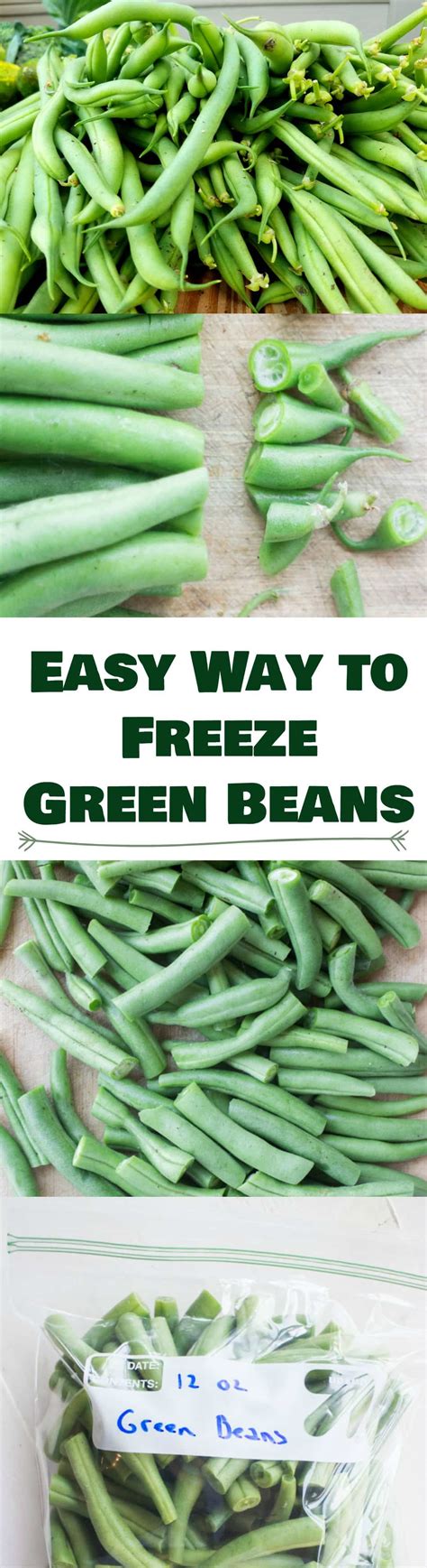 How To Freeze Fresh Green Beans Without Blanching - Great for Gardens!