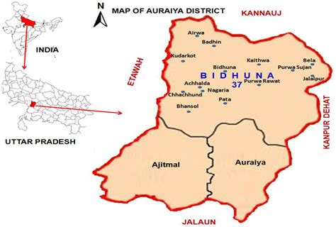 Species Diversity of Spiders from Bidhuna Tehsil of Auraiya District, Uttar Pradesh, India ...