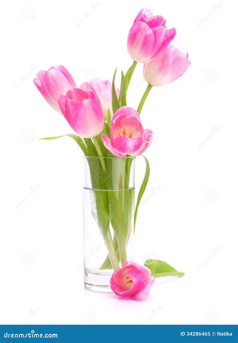 Bouquet Rose De Tulipes Dans Le Vase D'isolement Sur Le Fond Blanc Image stock - Image du cadeau ...