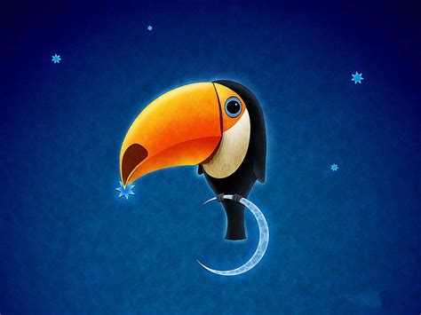 Toucan 1080P, 2K, 4K, 5K HD wallpapers free download | Wallpaper Flare