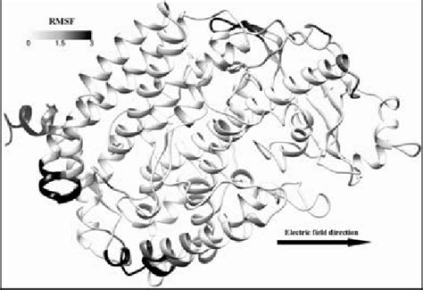 The structure of linoleate 9/13-lipoxygenase equilibrated in implicit ...