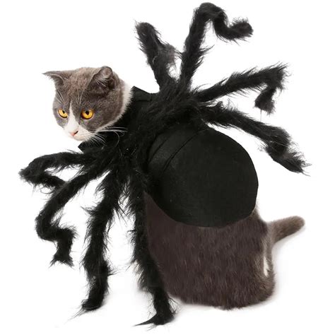 Cat Cosplay Halloween Pet Spider Clothes Dog Cat Horror Simulation ...