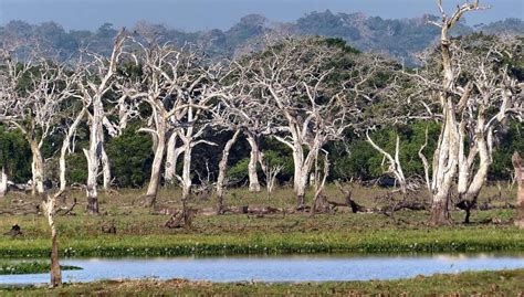 Horton Plains National Park Top Tours and Tips | experitour.com