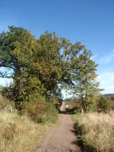 Hutting and camping in National Parks - what's the difference? - parkswatchscotland