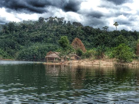 some huts on the shore of a body of water with trees in the back ground