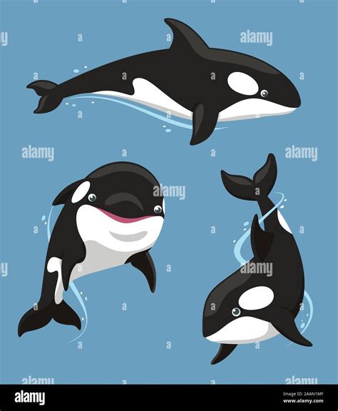 Killer whale cartoon hi-res stock photography and images - Alamy