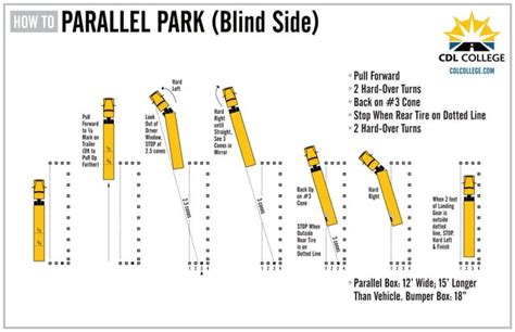 CDL College Truck Driving School Inforgraphic Parallel Parking Blind Side | PPT