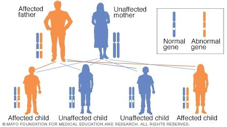 Slide show: How genetic disorders are inherited - Mayo Clinic