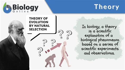 Theory Definition and Examples - Biology Online Dictionary