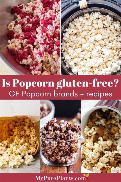 Is popcorn gluten-free? (incl. GF brands & recipes) - My Pure Plants