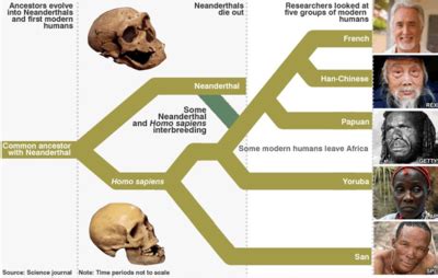 Small Things Considered: Neanderthal Me