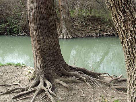 Medina River Natural Area Event