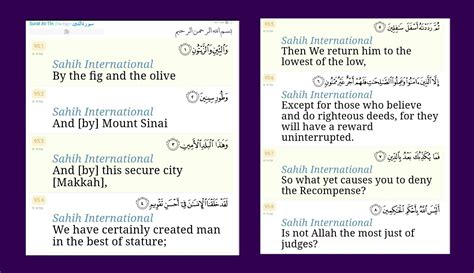 Surah/chapter At-Tin (95). Complete chapter. | Chapter, Completed, Inbox screenshot