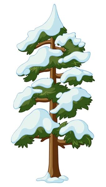 Snow covered pine forest — Stock Vector © stekloduv #15556535