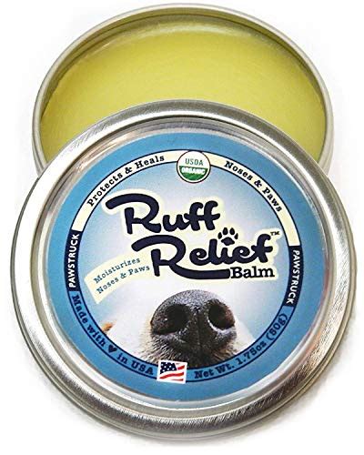 7 Best Dog Paw Cream Brands (2020 Reviews): Moisturize Paws on Dogs