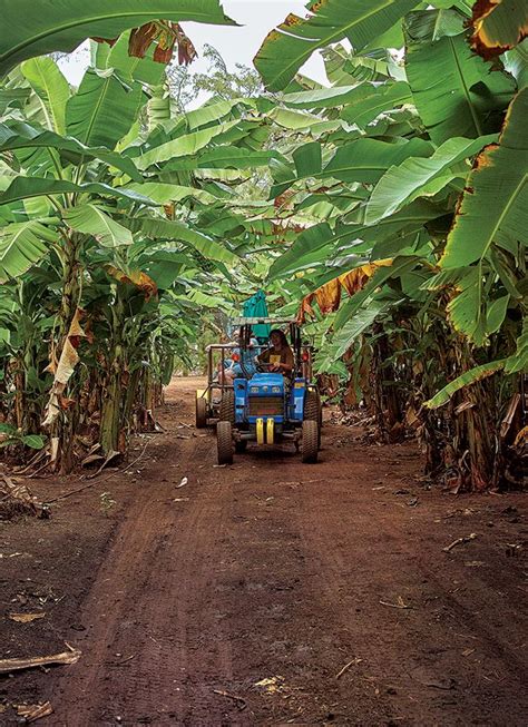 Farm Fresh: Kahuku Farms on Oahu | Hawaii Magazine Hawaii Honeymoon, Hawaii Travel, Aloha Hawaii ...