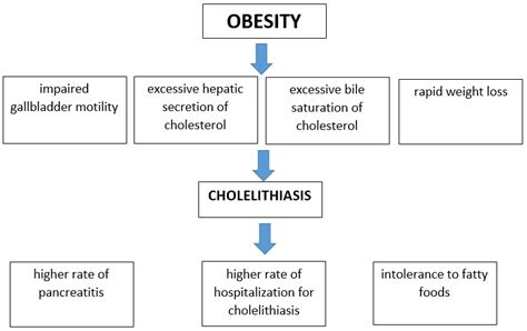 IJMS | Free Full-Text | The Etiology of Cholelithiasis in Children and Adolescents—A Literature ...