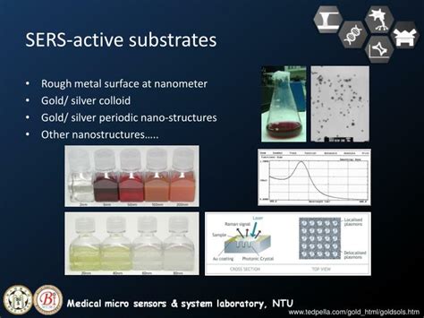 PPT - Applications of Surface-Enhanced Raman Scattering (SERS) PowerPoint Presentation - ID:2286047