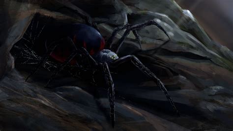 Cave Spider by Boot2099a on DeviantArt