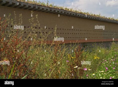 Artificial sand martin nesting bank Stock Photo - Alamy