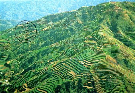 Each postcard has its own history: Aerial View of Banaue, Rice terraces ...