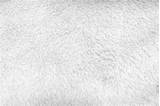White Fur Texture Stock Photos Images And Backgrounds For Free Download sketch template