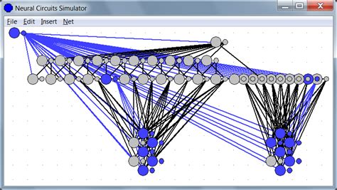 Neural Circuits