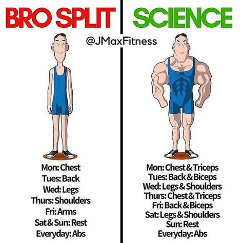 BRO SPLIT vs SCIENCE by @jmaxfitness . . What is the best workout split ...