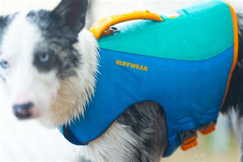 Ruffwear Float Coat Dog Life Jacket Review