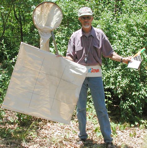 Bollworms | NC State Extension