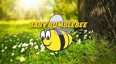 Baby Bumblebee | Karaoke, Sing-Along, Printable Score PDF