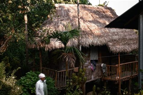 Mawlynnong (Meghalaya) - Homestays, Village, Things To Do