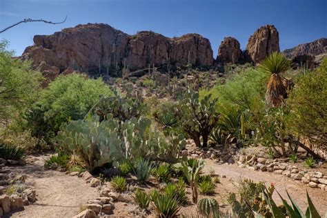 15 Best Things to Do in Superior (AZ) - The Crazy Tourist