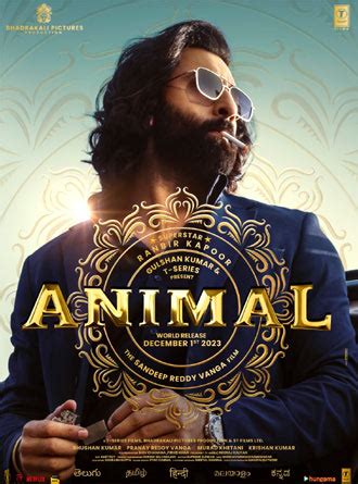 Animal continues to rock- clocks 14 million in the US | Latest Telugu cinema news | Movie ...