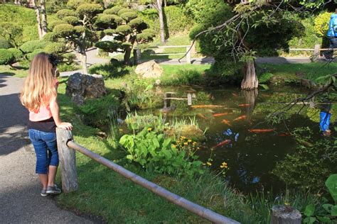 Spring is in Bloom at the Japanese Tea Garden | Marin Mommies