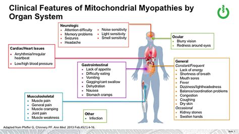 Mitochondrial Disease Symptoms - MitoAction