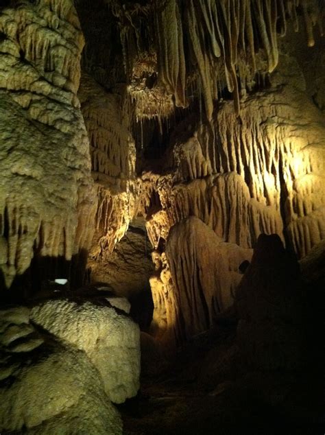 Natural Bridge Caverns~Texas | Natural bridge caverns, Natural bridge, Nature