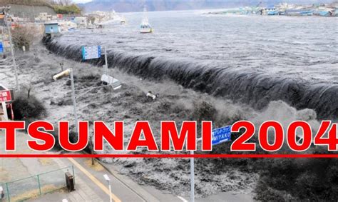 Tsunami 2004 kerala, tamilnadu, sreelanka and indonesia