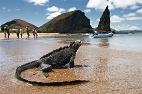 Islas Galápagos: el museo vivo de la evolución | Entre Veredas