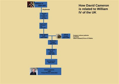 Constance Gill Buzz: David Cameron Family Tree