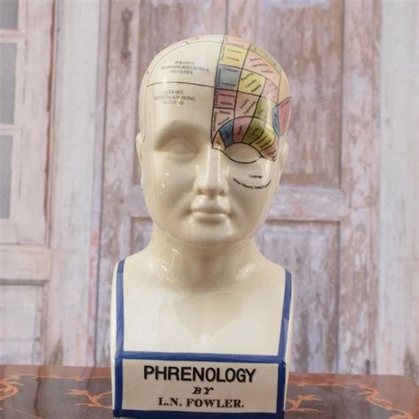 Phrenology Head - Etsy