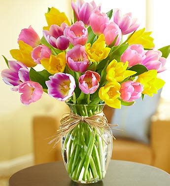 Tulips Care & Instructions | Flowers Blog