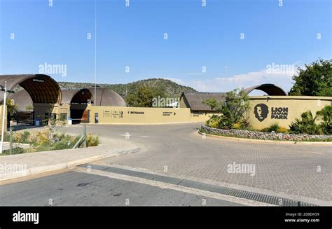 Lion & Safari Park, Johannesburg, South Africa Stock Photo - Alamy