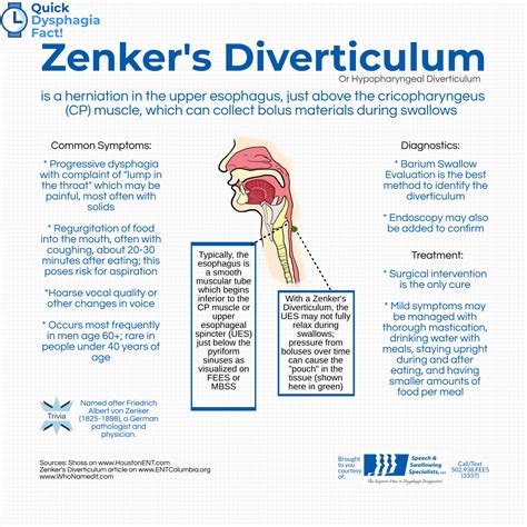 Zenker's Diverticulum | Dysphagia therapy, Speech and language, Dysphagia