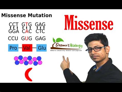 Missense mutation - YouTube