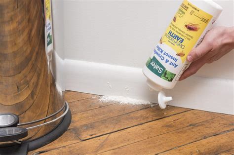 How to use Diatomaceous Earth for Roaches - CITY PESTS