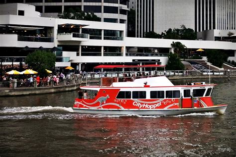 "CityHopper ... Free transport in Brisbane" by myraj | Redbubble