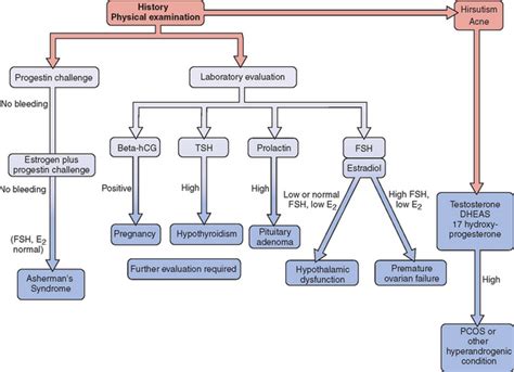 Primary Amenorrhea Algorithm