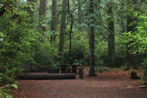 25 Amazing Things to Do at Redwood National Park in 2024